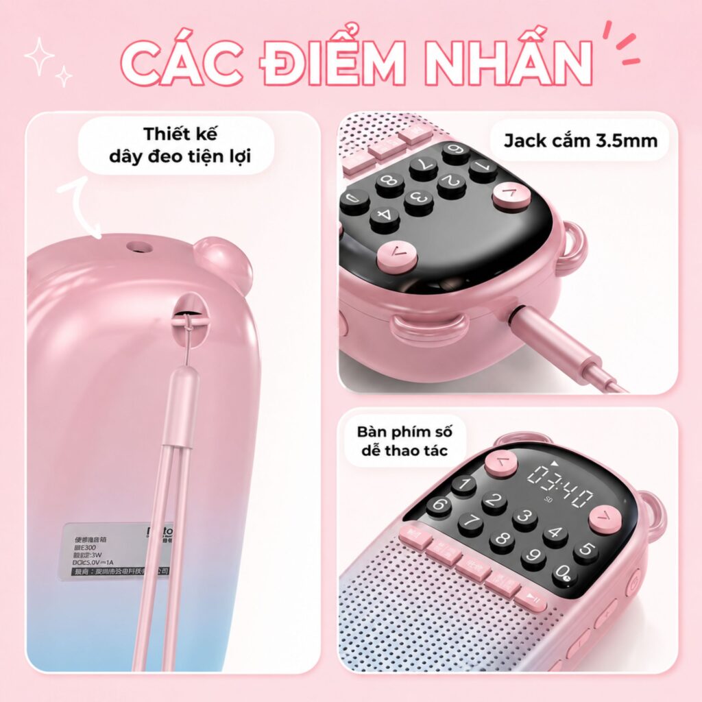 Các điểm nhấn của loa Rolton E300